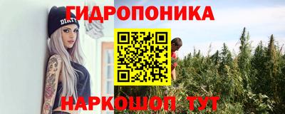 молекула духа Вязьма