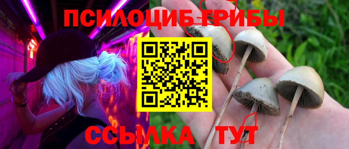 Галлюциногенные грибы MAGIC MUSHROOMS Владивосток